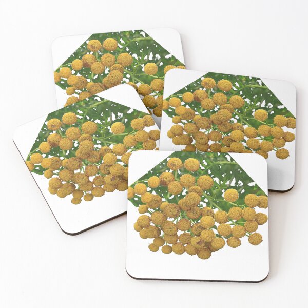 Item preview, Common tansy, bitter buttons, cow bitter, or golden buttons designed and sold by VeenaNair23.