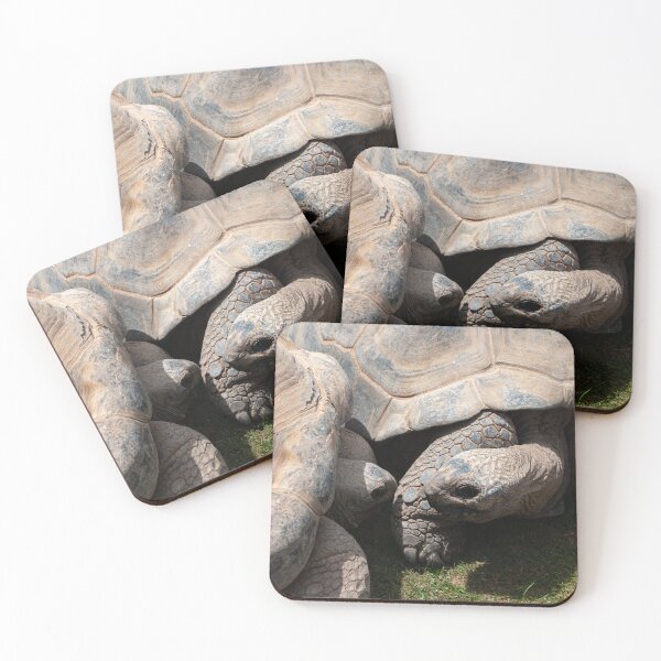 Item preview, A Pair of Giant Tortoises designed and sold by LindaCooke.