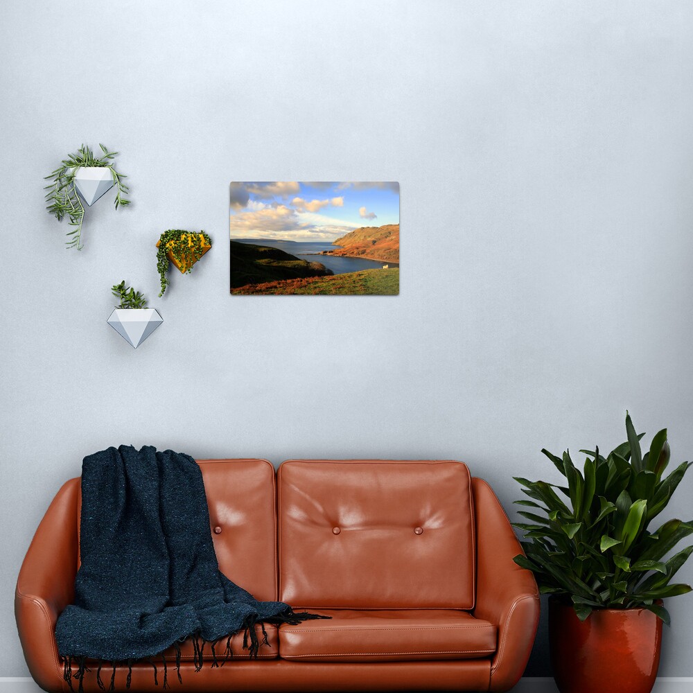 Ardnamurchan Sheep Metal Print