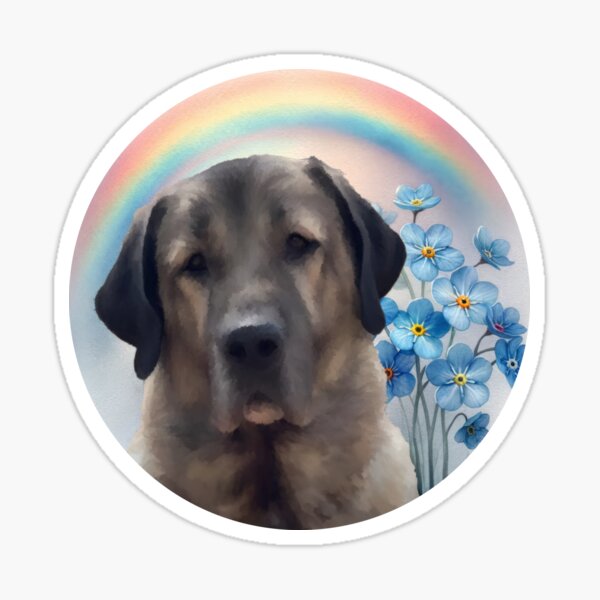 Artikel-Vorschau von mein Regenbogen-Kangal-Hund, designt und verkauft von Deborah Regan.