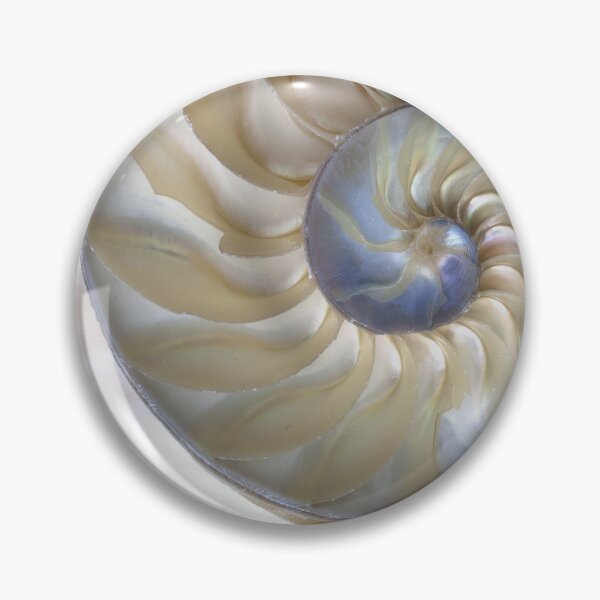 Item preview, Nautilus Shell designed and sold by christineiris.