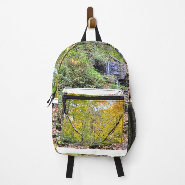 Item preview, Virginia Hawkins Falls Pickens County South Carolina In Autumn designed and sold by LisaWootenPhoto.