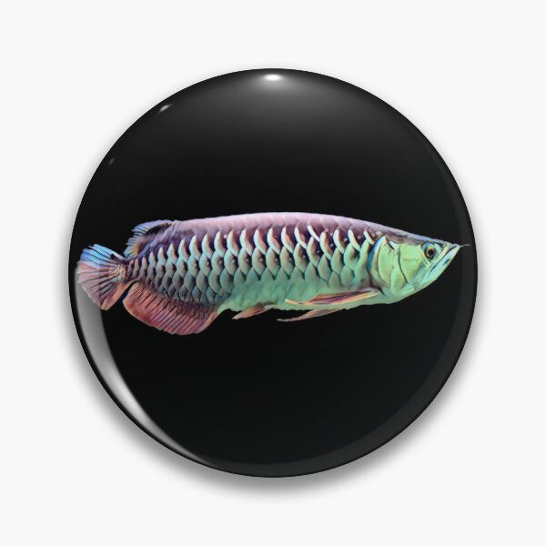 Artikelvorschau, Arowana Monster Fischwasserwechsel entworfen und verkauft von JRRTs.