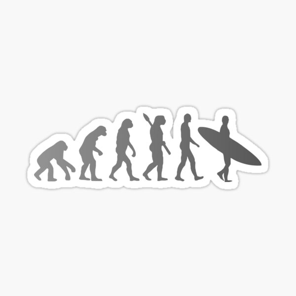 Item preview, Surf evolution designed and sold by nomoregravity.