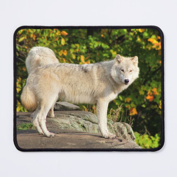 Item preview, See That Smile designed and sold by Vicki Spindler (VHS Photography).