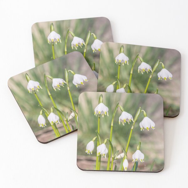 Item preview, Blooming snowbells, snowdrops designed and sold by StohlerPhotos.