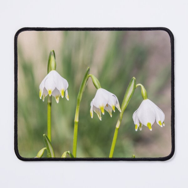 Item preview, Blooming snowbells, snowdrops designed and sold by StohlerPhotos.