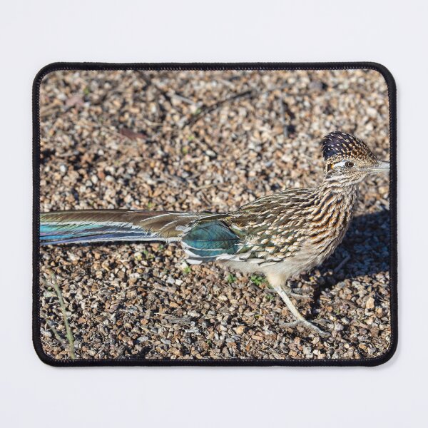 Item preview, Roadrunner designed and sold by Desertastro.
