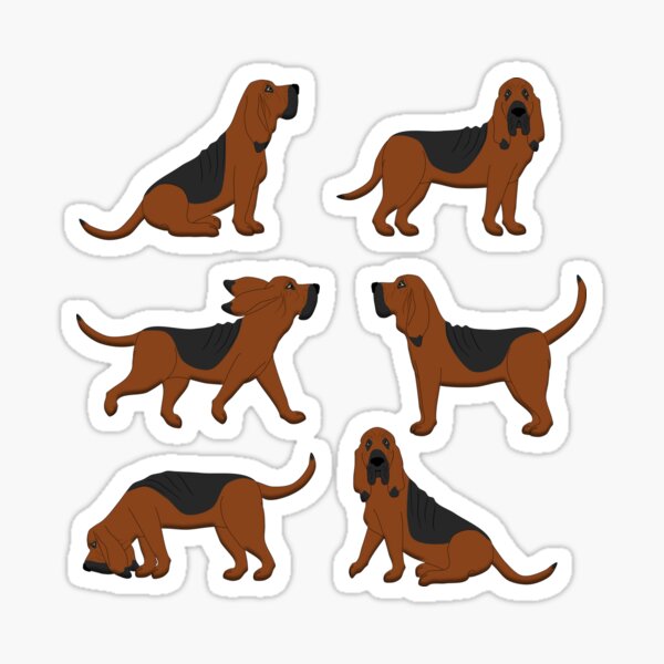 Bloodhound Sticker