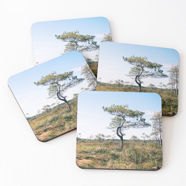 Item preview, Small trees try to grow on bogland designed and sold by riku05830.