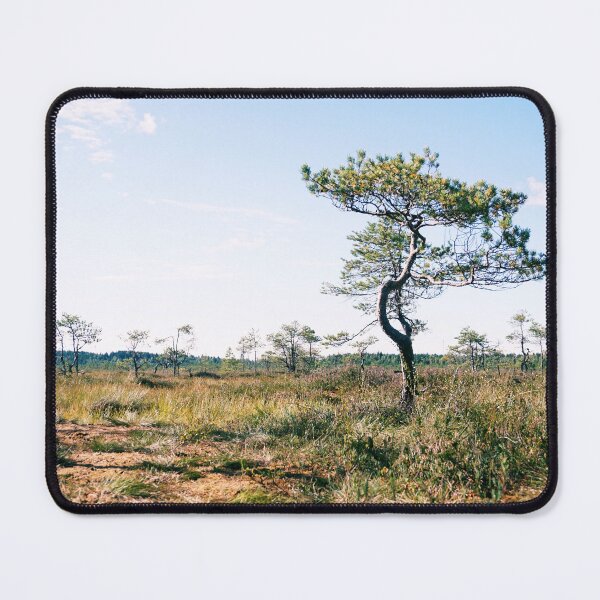 Item preview, Small trees try to grow on bogland designed and sold by riku05830.