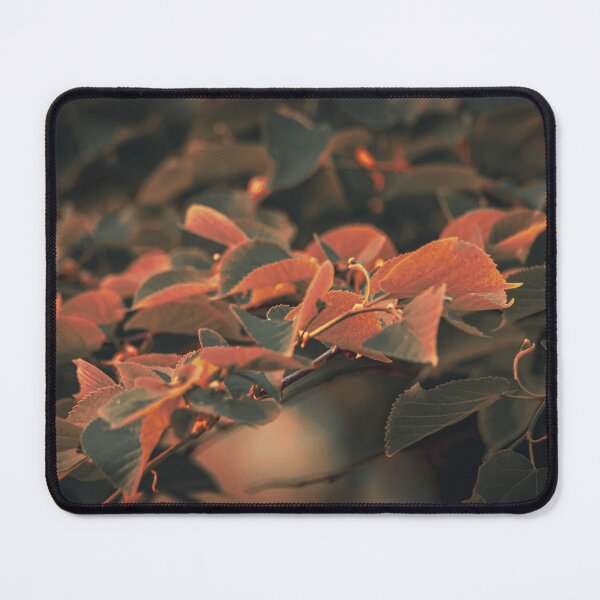 Item preview, Tending to my leafy friend designed and sold by Golub-Bella.