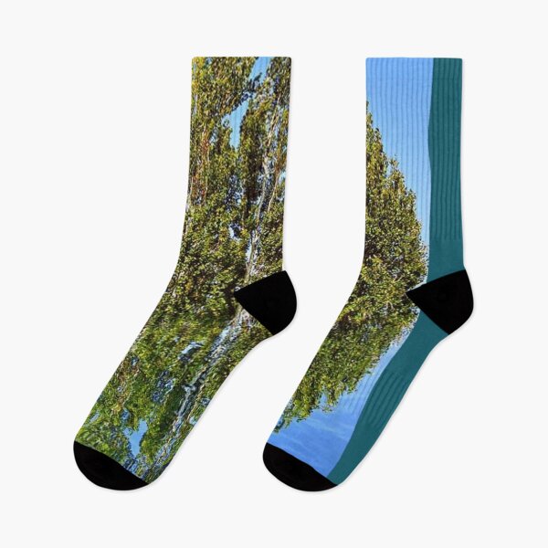 Item preview, Water garden designed and sold by Cjwest36173.