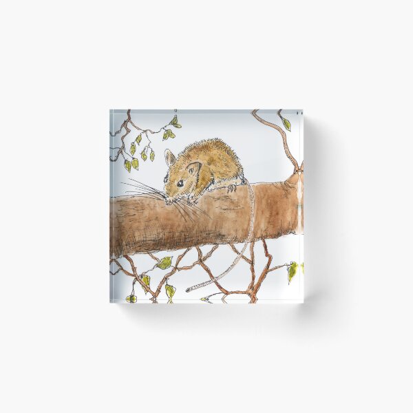 Item preview, Curious Little Brown Mouse on Tree Branch designed and sold by paleheather.