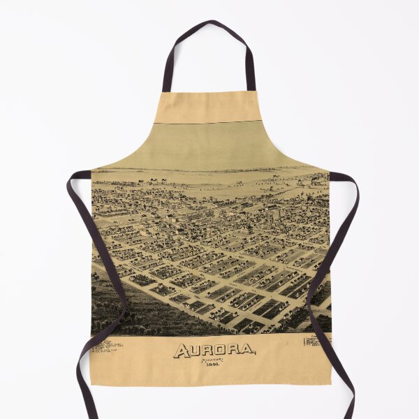 Item preview, Aurora, Missouri (1891) designed and sold by allhistory.