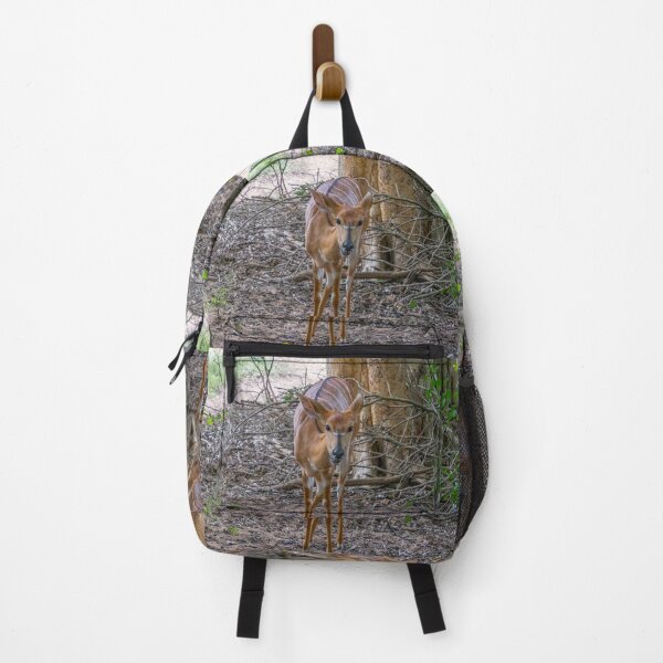 Item preview, Female Nyala Antelope Up Close designed and sold by SafariByMarisa.