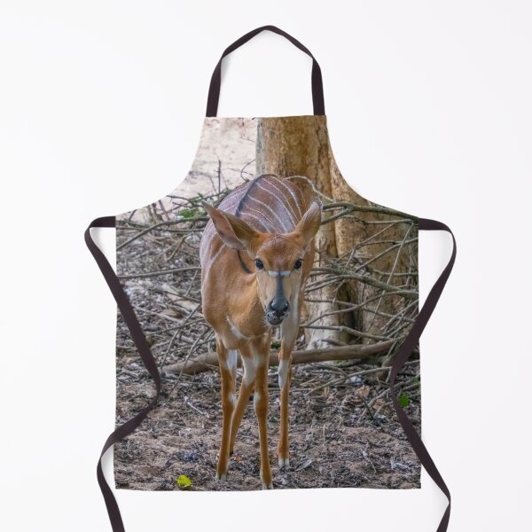 Item preview, Female Nyala Antelope Up Close designed and sold by SafariByMarisa.
