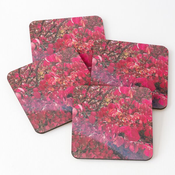 Item preview, Vibrant Red Fall Shrub designed and sold by MtnAshMan.