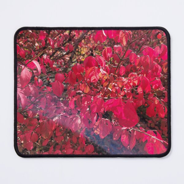 Item preview, Vibrant Red Fall Shrub designed and sold by MtnAshMan.
