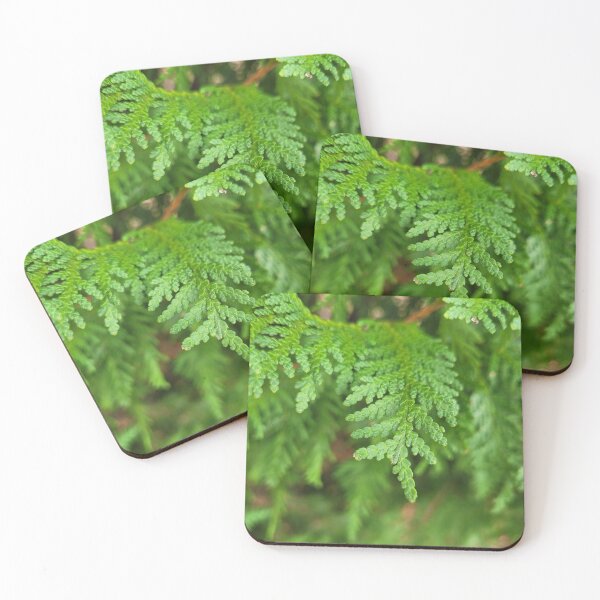 Item preview, Beautiful Conifer Foliage designed and sold by MtnAshMan.