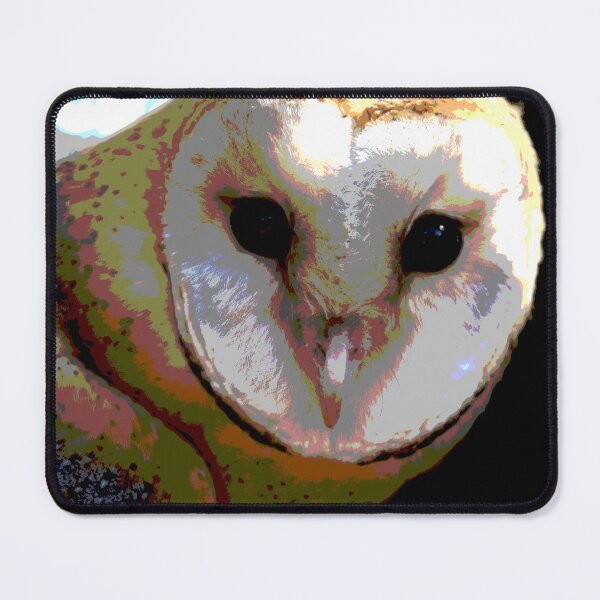 Item preview, Cute Barn Owl designed and sold by KingdomWildlife.