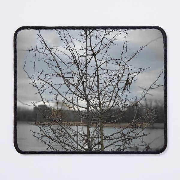 Item preview, Shadowed Tree designed and sold by NaturesState.