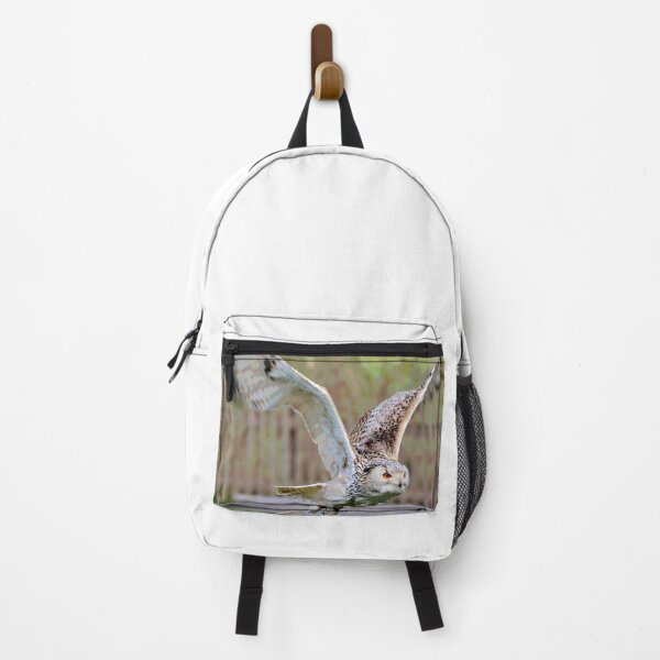 Item preview, Flying Owl designed and sold by KingdomWildlife.