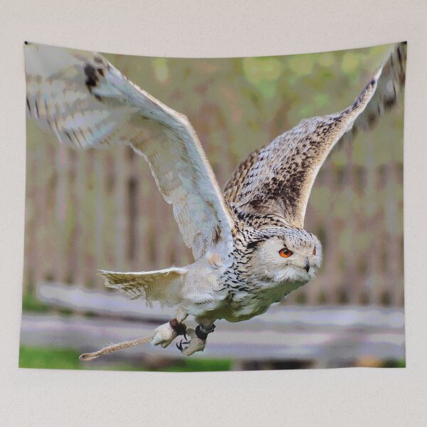 Item preview, Flying Owl designed and sold by KingdomWildlife.