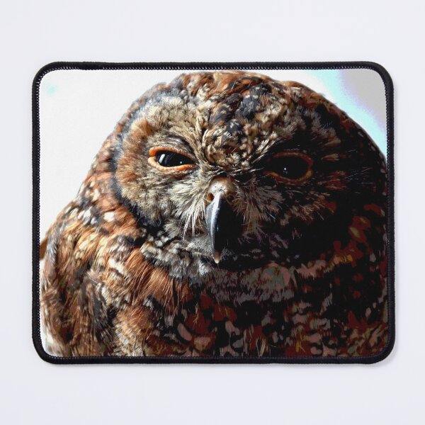 Item preview, Owl #14 designed and sold by KingdomWildlife.