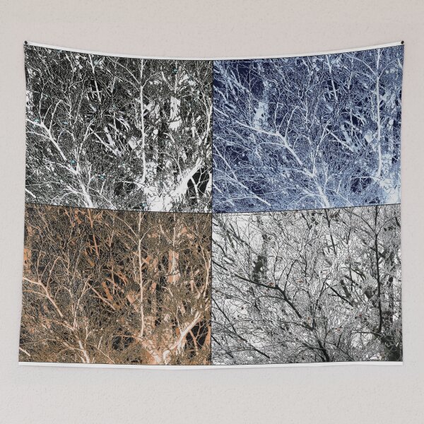 Item preview, Frosted beech tree montage designed and sold by paulboizot.
