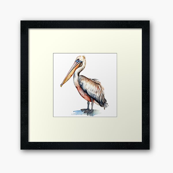 Item preview, Watercolour Pelican drawing designed and sold by Nobow.