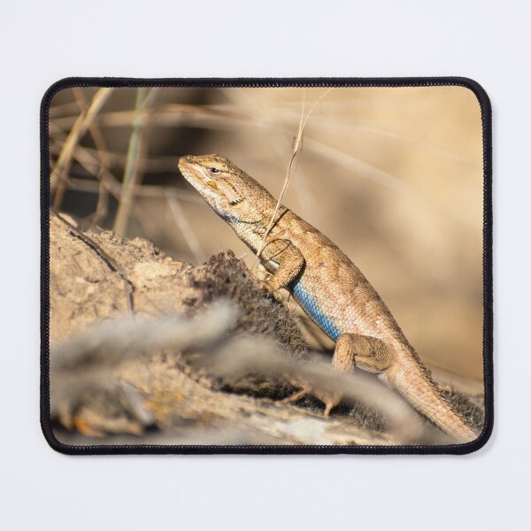 Item preview, Sagebrush Lizard in Utah designed and sold by Grace Caroline.