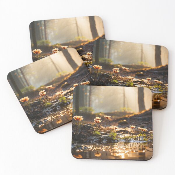 Item preview, Quiet Forest Glade designed and sold by Miguel's AI Store.