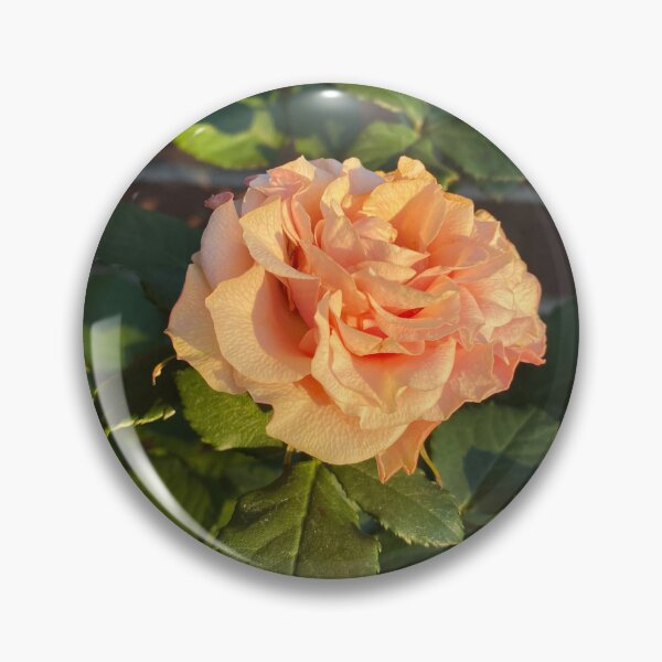 Artikelvorschau, Orangefarbene Rosenblüten, grünes Laub – Dämmerung entworfen und verkauft von LoftyLoamBloom.