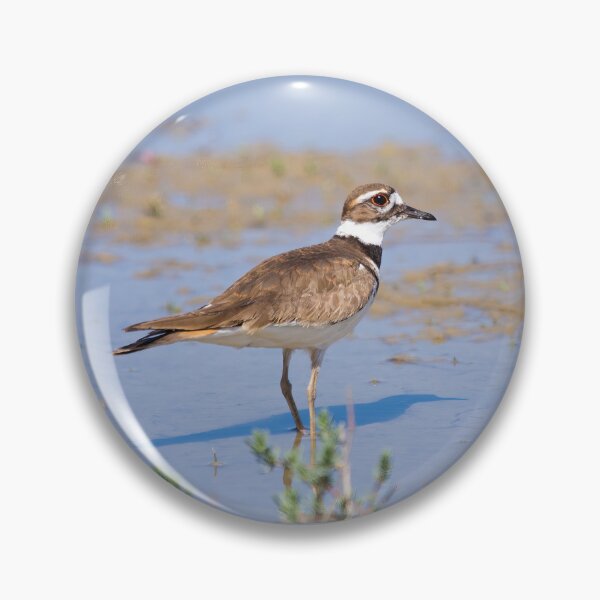 Item preview, Killdeer designed and sold by CarolM.