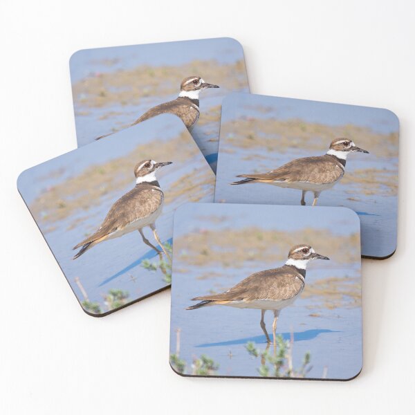 Item preview, Killdeer designed and sold by CarolM.