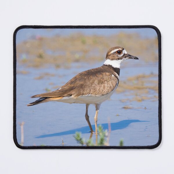 Item preview, Killdeer designed and sold by CarolM.