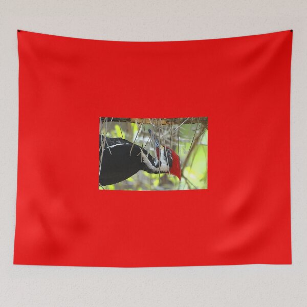 Item preview, Pileated Woodpecker designed and sold by glink.
