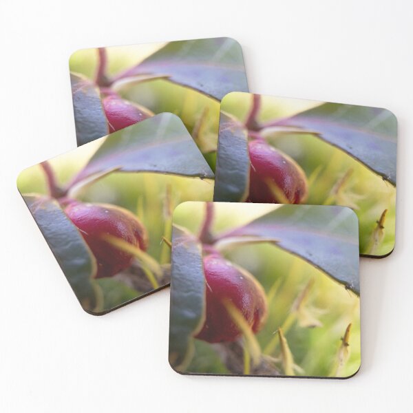 Item preview, Macro Berry designed and sold by dburnsworth.