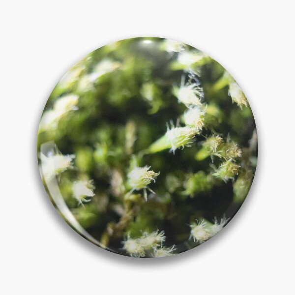 Item preview, Macro Conifer designed and sold by dburnsworth.