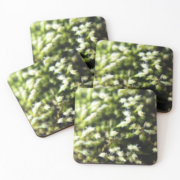 Item preview, Macro Conifer designed and sold by dburnsworth.