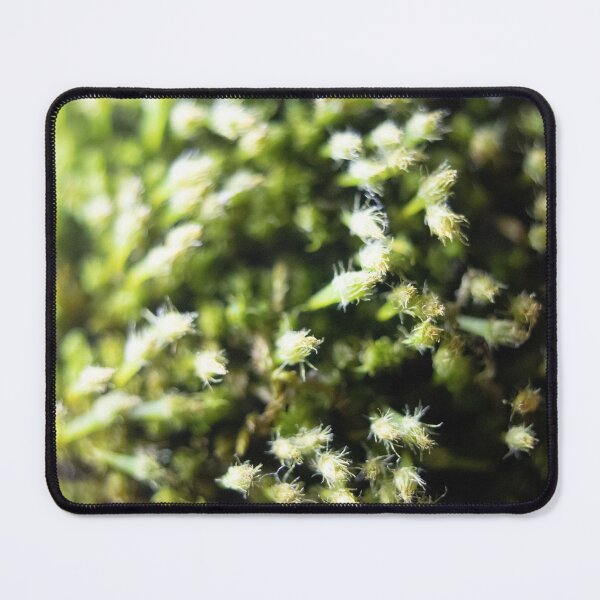 Item preview, Macro Conifer designed and sold by dburnsworth.
