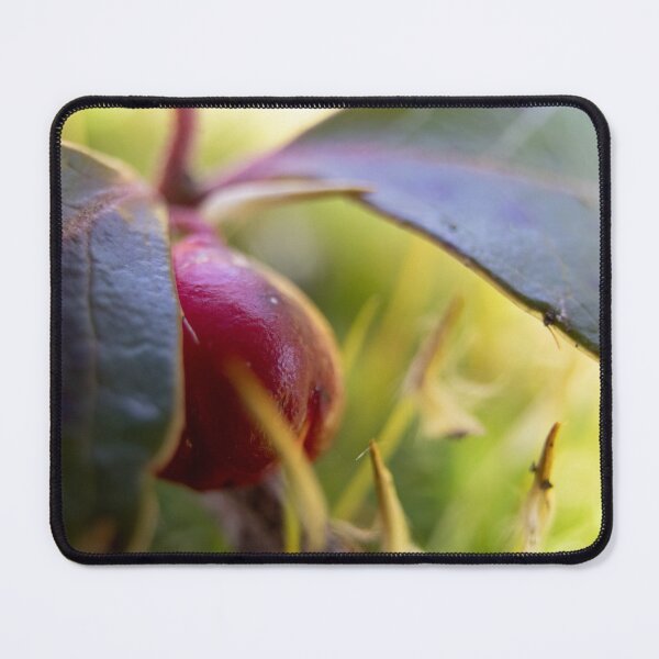 Item preview, Macro Berry designed and sold by dburnsworth.