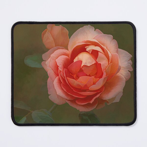 Item preview, Delicious Peach Rose designed and sold by JillLind47.