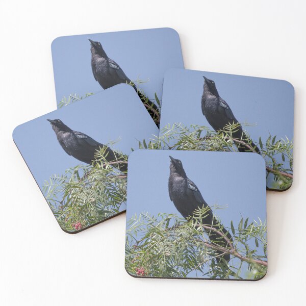 Item preview, Great-tailed Grackle designed and sold by CarolM.