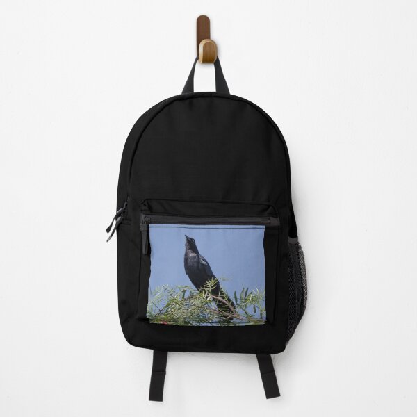 Item preview, Great-tailed Grackle designed and sold by CarolM.
