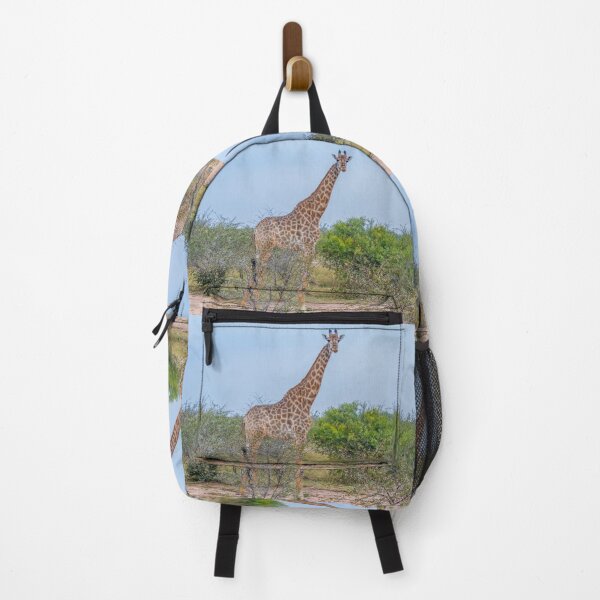 Item preview, Tall Reticulated Giraffe Towers Above Acacia Trees designed and sold by SafariByMarisa.