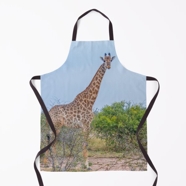 Item preview, Tall Reticulated Giraffe Towers Above Acacia Trees designed and sold by SafariByMarisa.