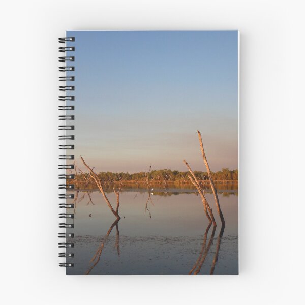 Item preview, Dead tree stumps rising from a lake. designed and sold by EAnneH.