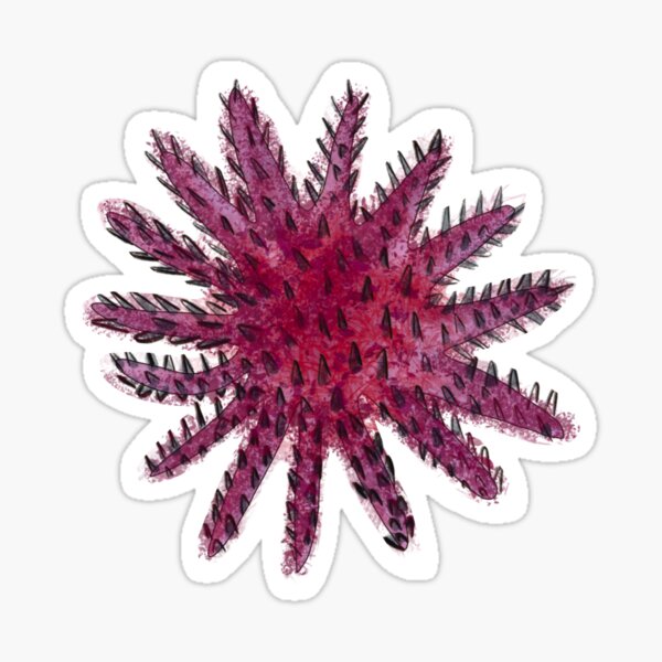 Item preview, Crown of Thorns Starfish designed and sold by Kiki-111.